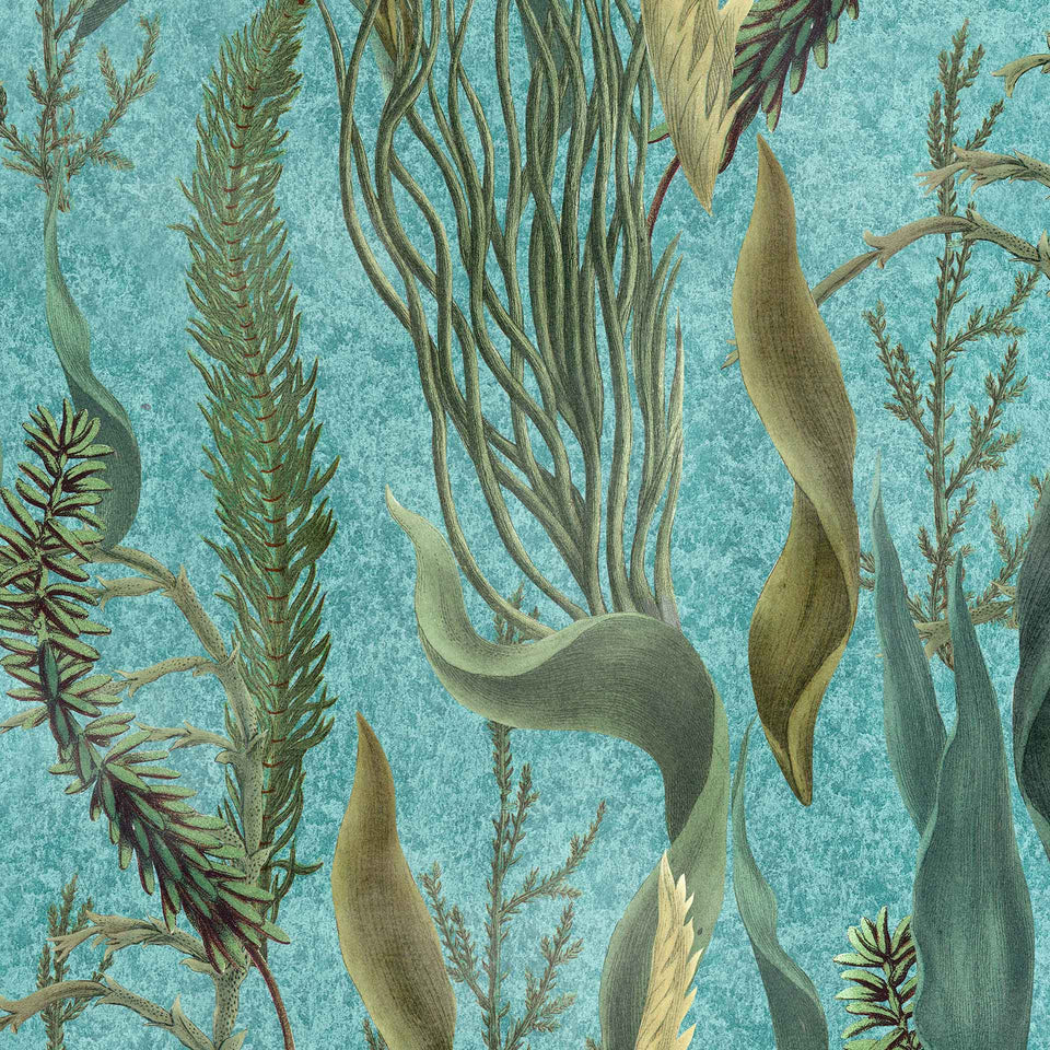 Aquatic Plants Wallpaper by MIND THE GAP