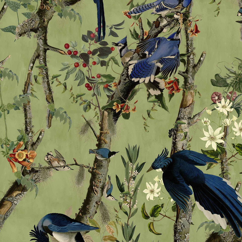 Birds of Danube Wallpaper by MIND THE GAP